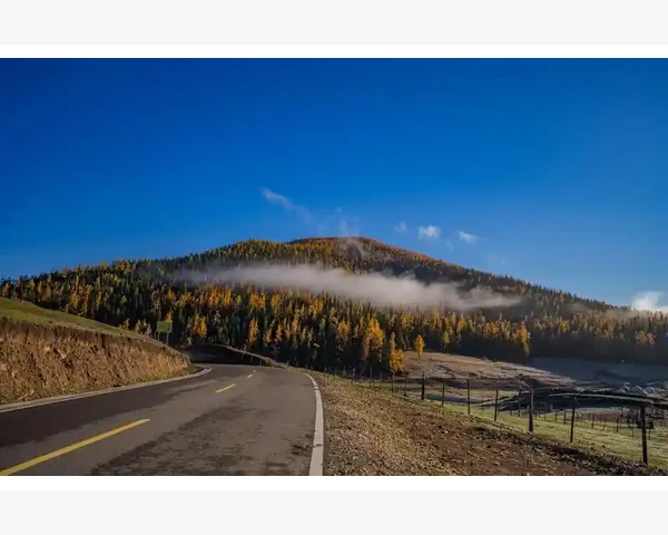 煲粥润肺化痰：中医的智慧呵护你的呼吸健康