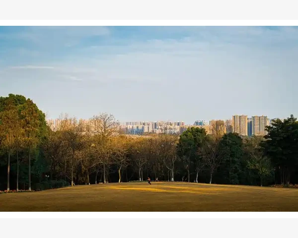 儿童补钙：哪种钙片更适合？
